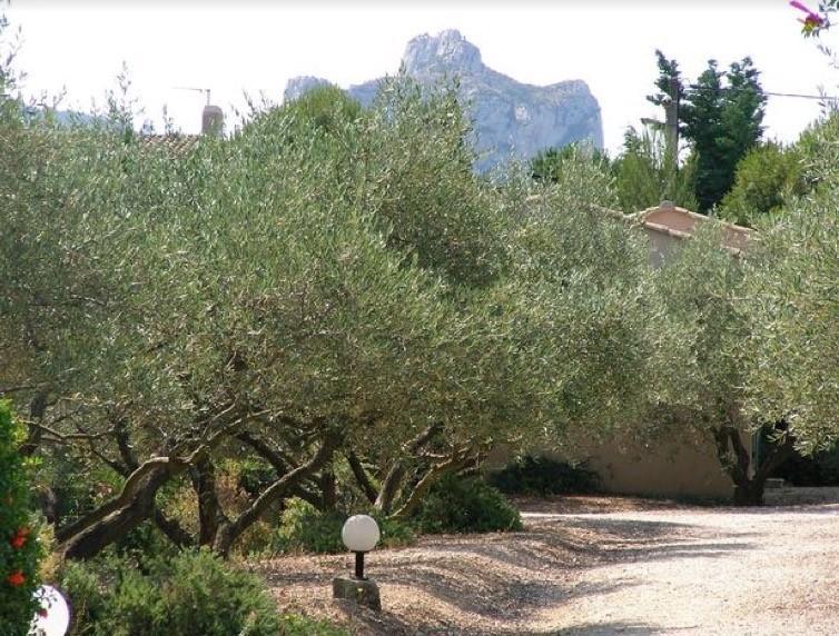 Le Mazet 40 Vila Saint-Rémy-de-Provence Exterior foto